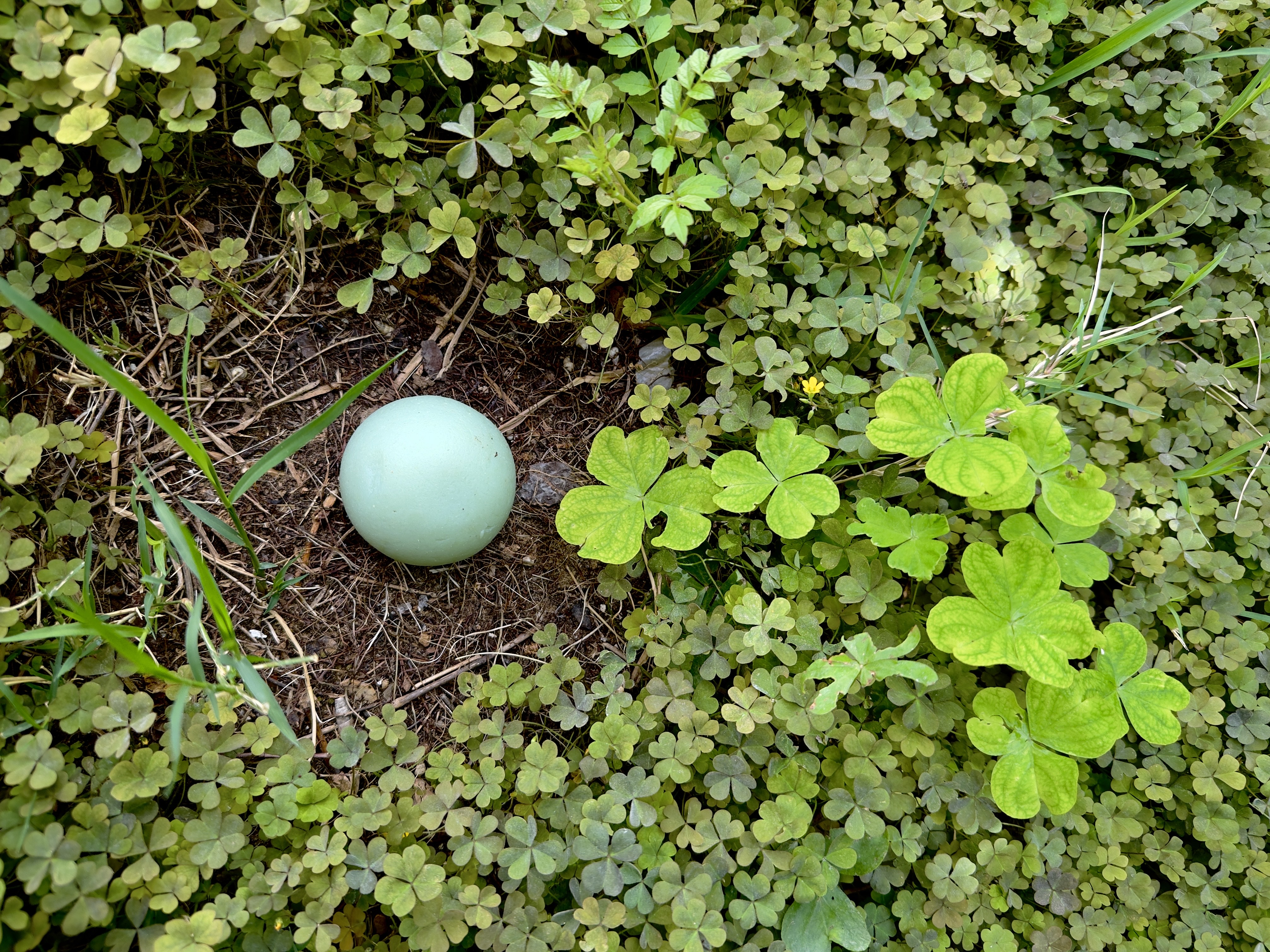 Hydrosphère produit