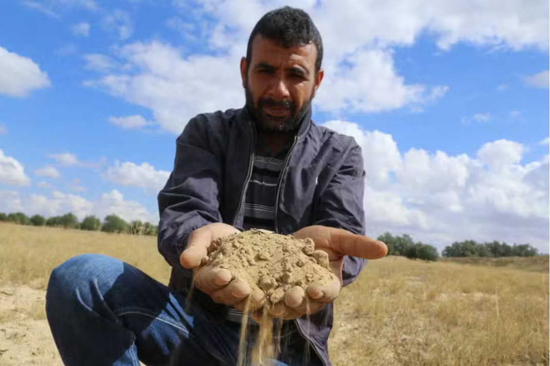 Agriculteur en Tunisie
