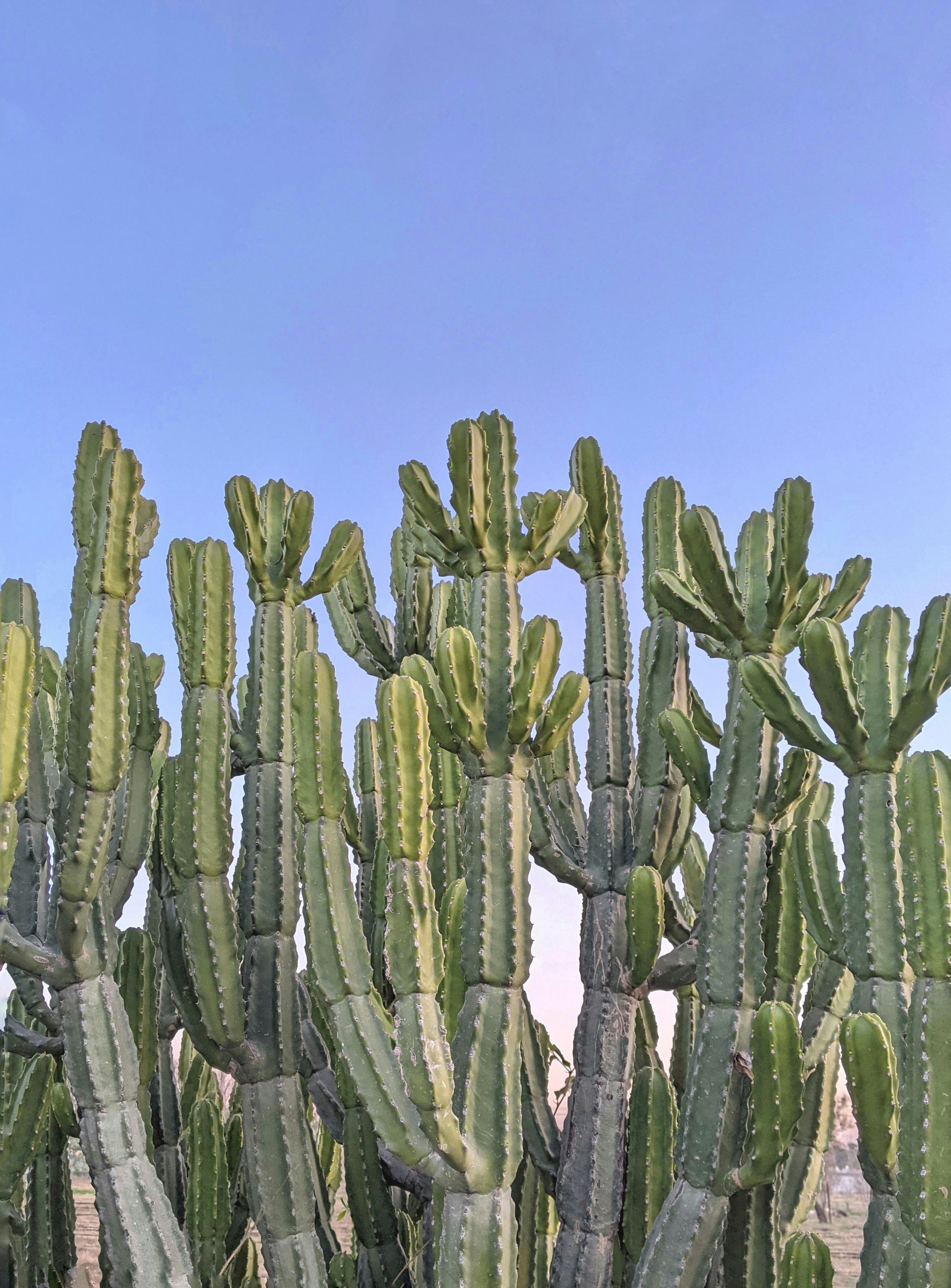 Arrière-plan Hydrosphère